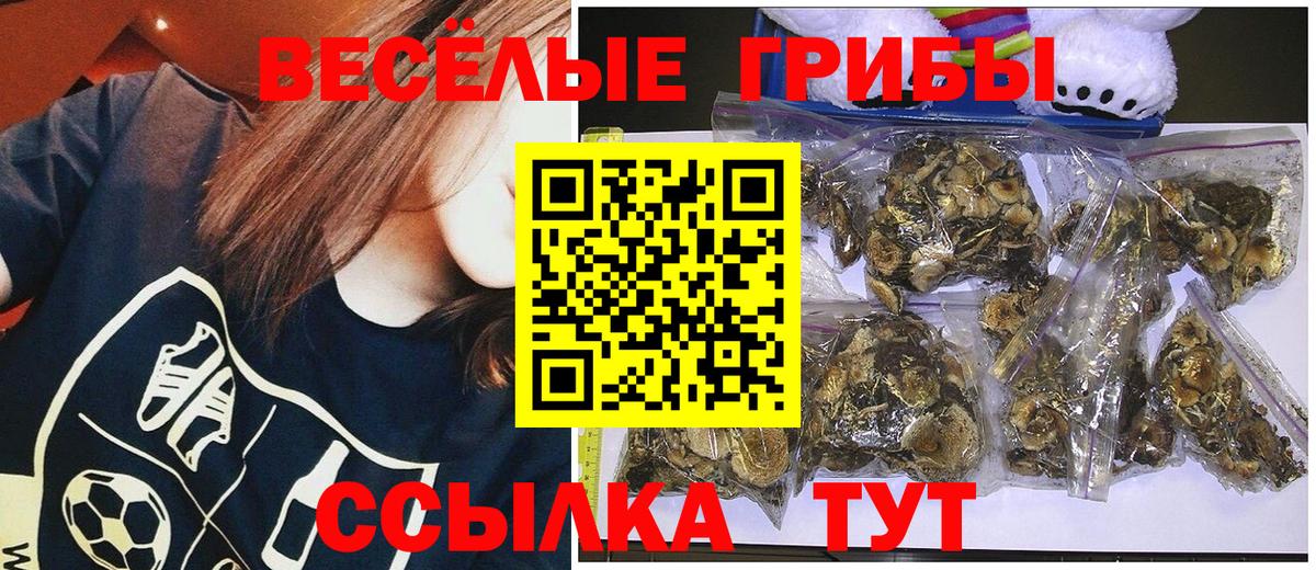 Галлюциногенные грибы MAGIC MUSHROOMS Озёрск