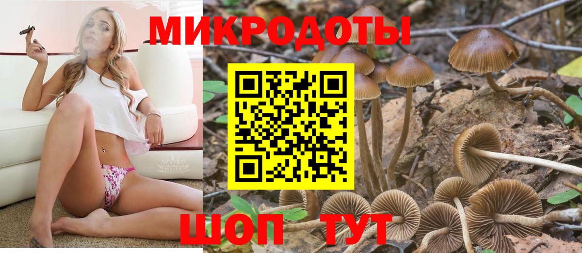 Галлюциногенные грибы ЛСД  где продают   Озёрск  Вход с VPN 